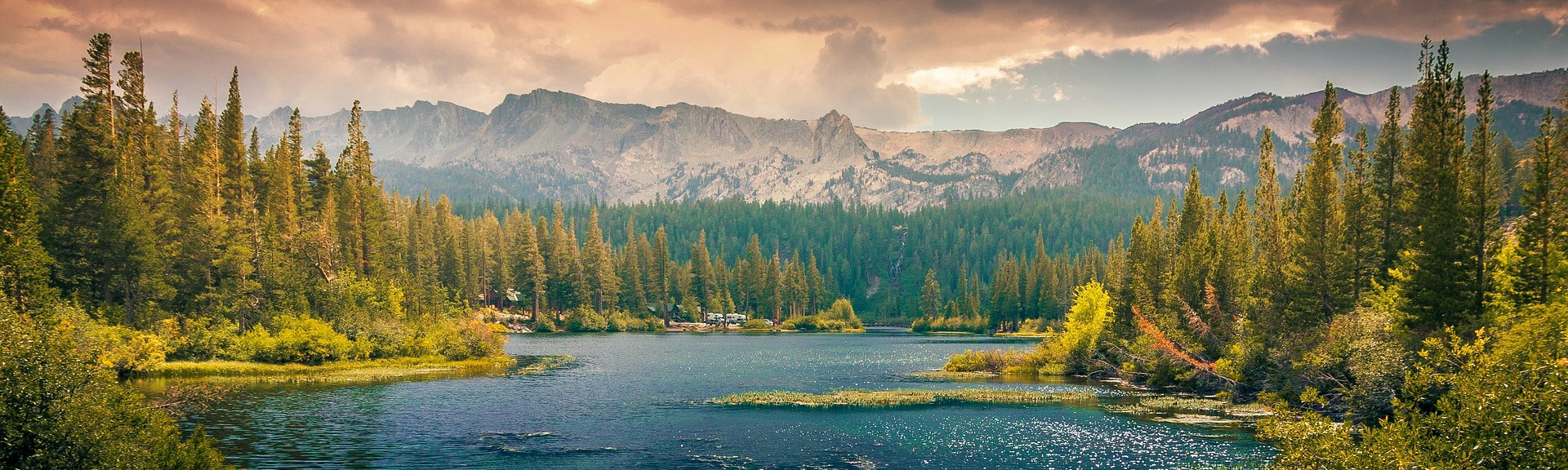 Evangelina B. Peterson